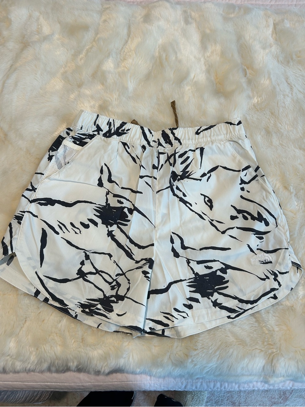 The North Face Water-Resistant Shorts